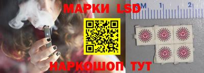 apvp Нальчик