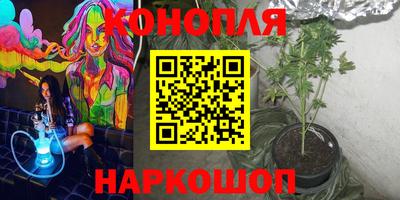 гашик Нарткала