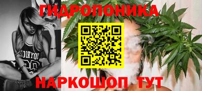 СК Наро-Фоминск