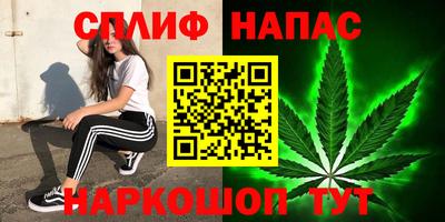 apvp Нальчик